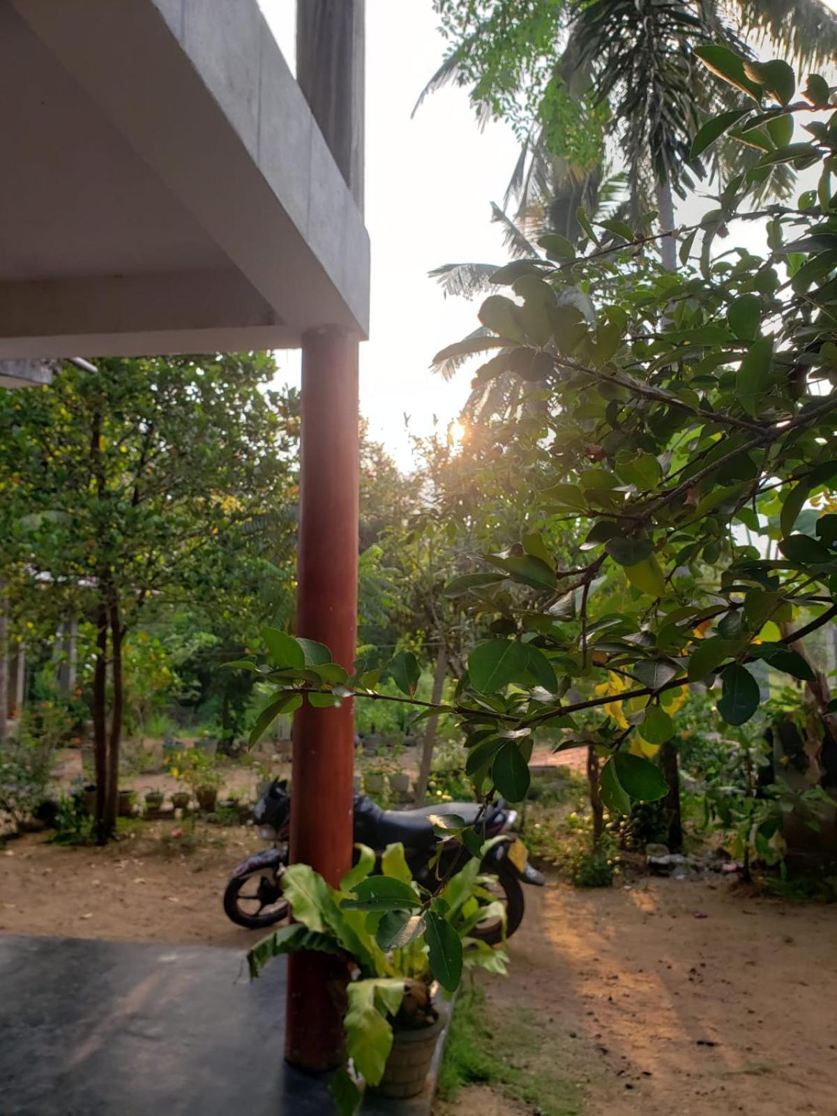 Tiny Dambulla