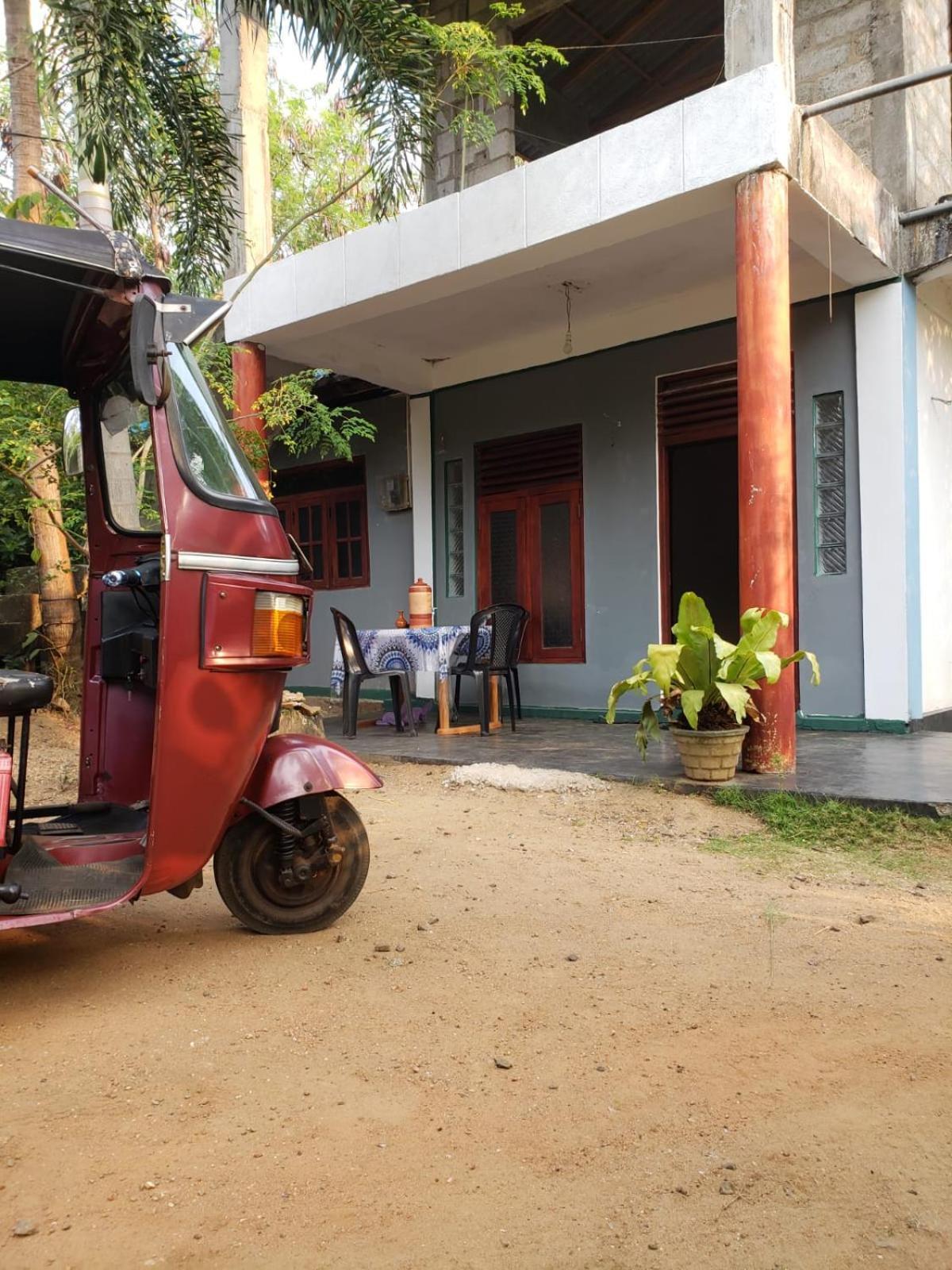 Homestay Tiny