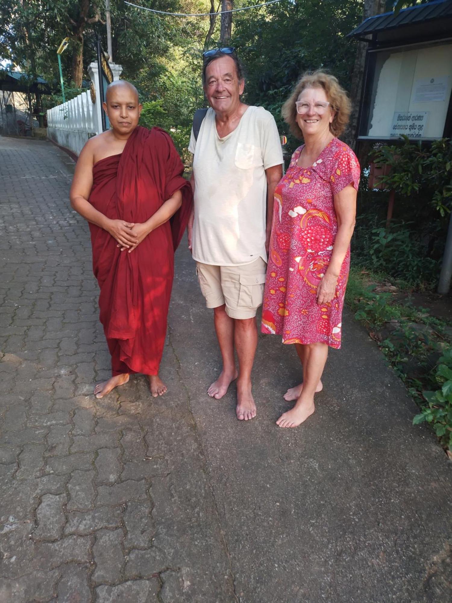 Tiny * Dambulla