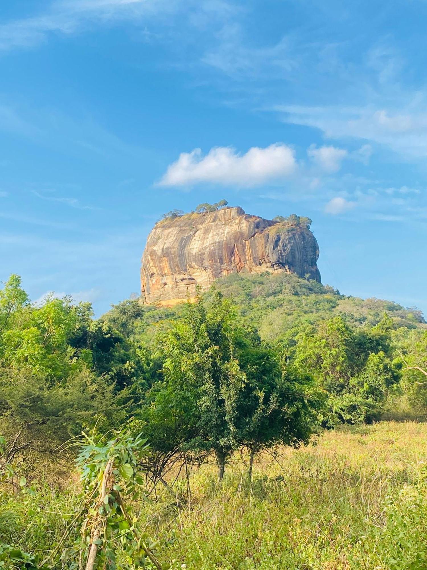 Tiny Dambulla