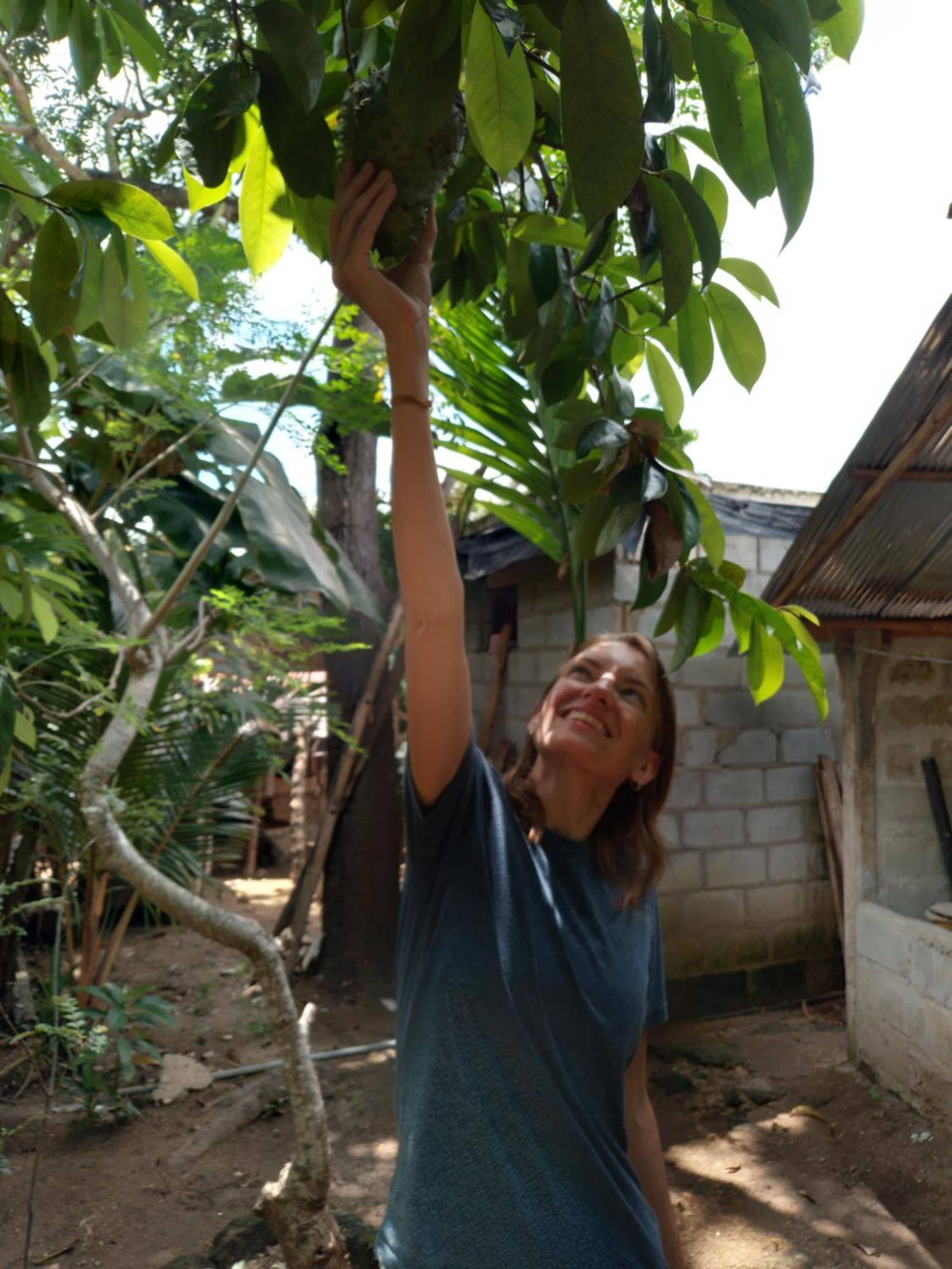 Tiny Homestay Dambulla